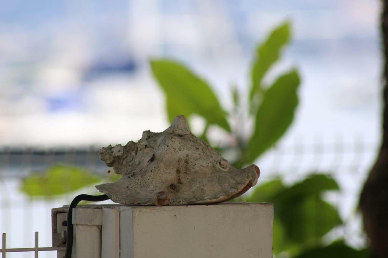 Studio Ds Residence Securisee Avec Vue & Acces A La Mer . 勒穆莱 外观 照片